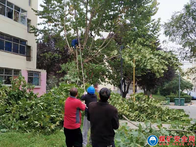蒲白中心社區：防汛防凍兩手抓，開啟“雙線作戰”模式